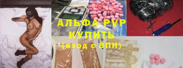 шишки Аркадак