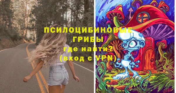 PSILOCYBIN Баксан