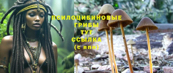 PSILOCYBIN Арсеньев