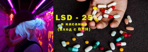 PSILOCYBIN Баксан