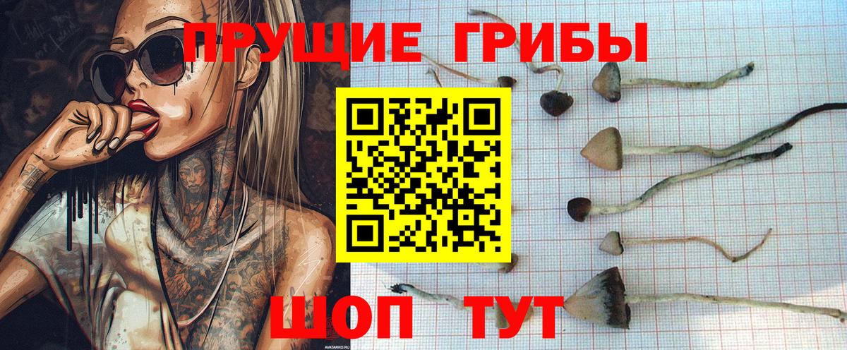 Галлюциногенные грибы ЛСД Кировск
