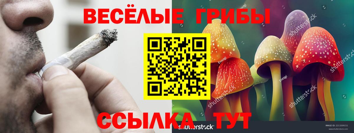Галлюциногенные грибы MAGIC MUSHROOMS  Вход с VPN  Кировск 
